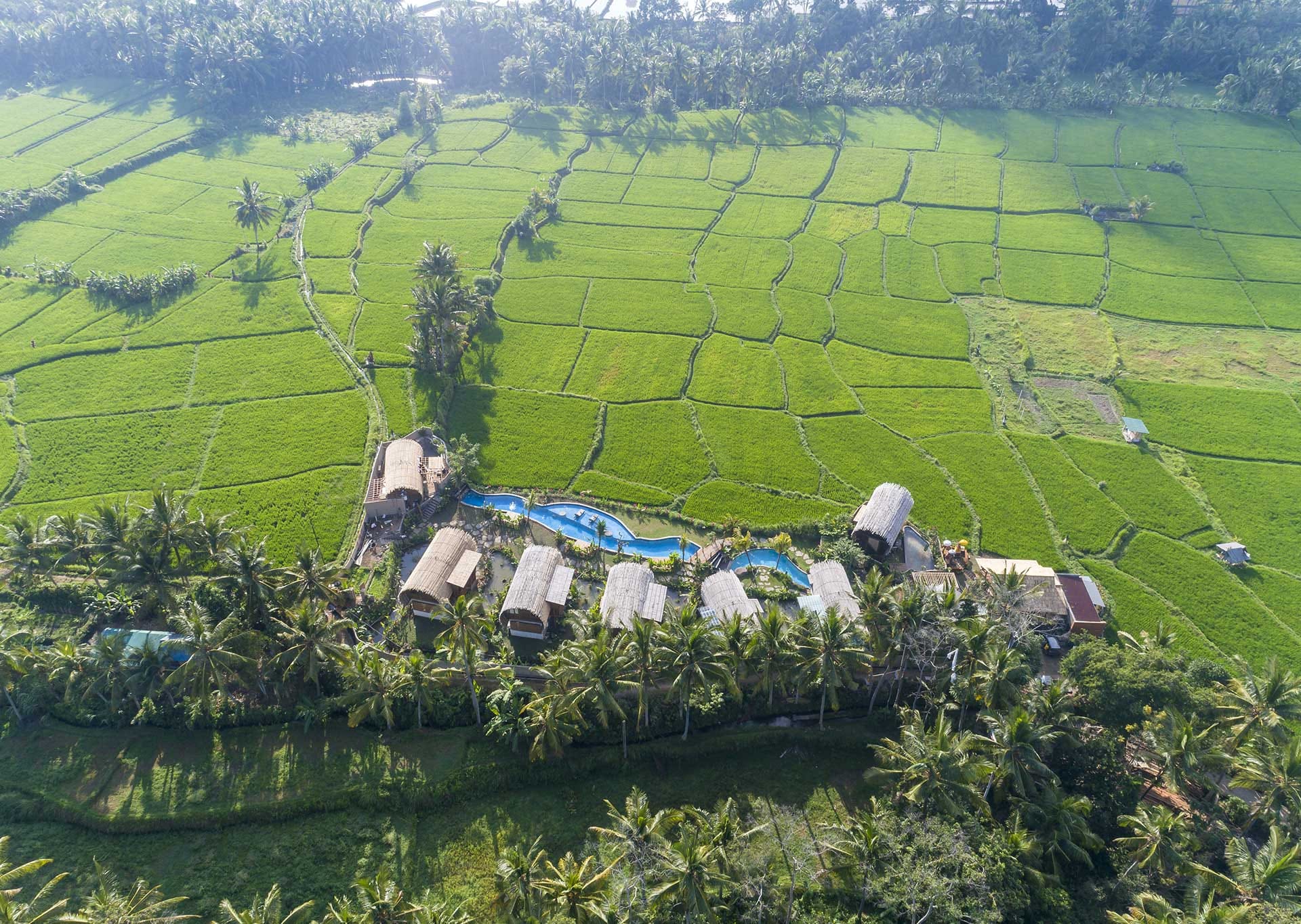 Beehouse Dijiwa Ubud 写真 4