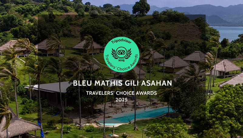 Bleu MATHIS Gili Asahan 写真 3