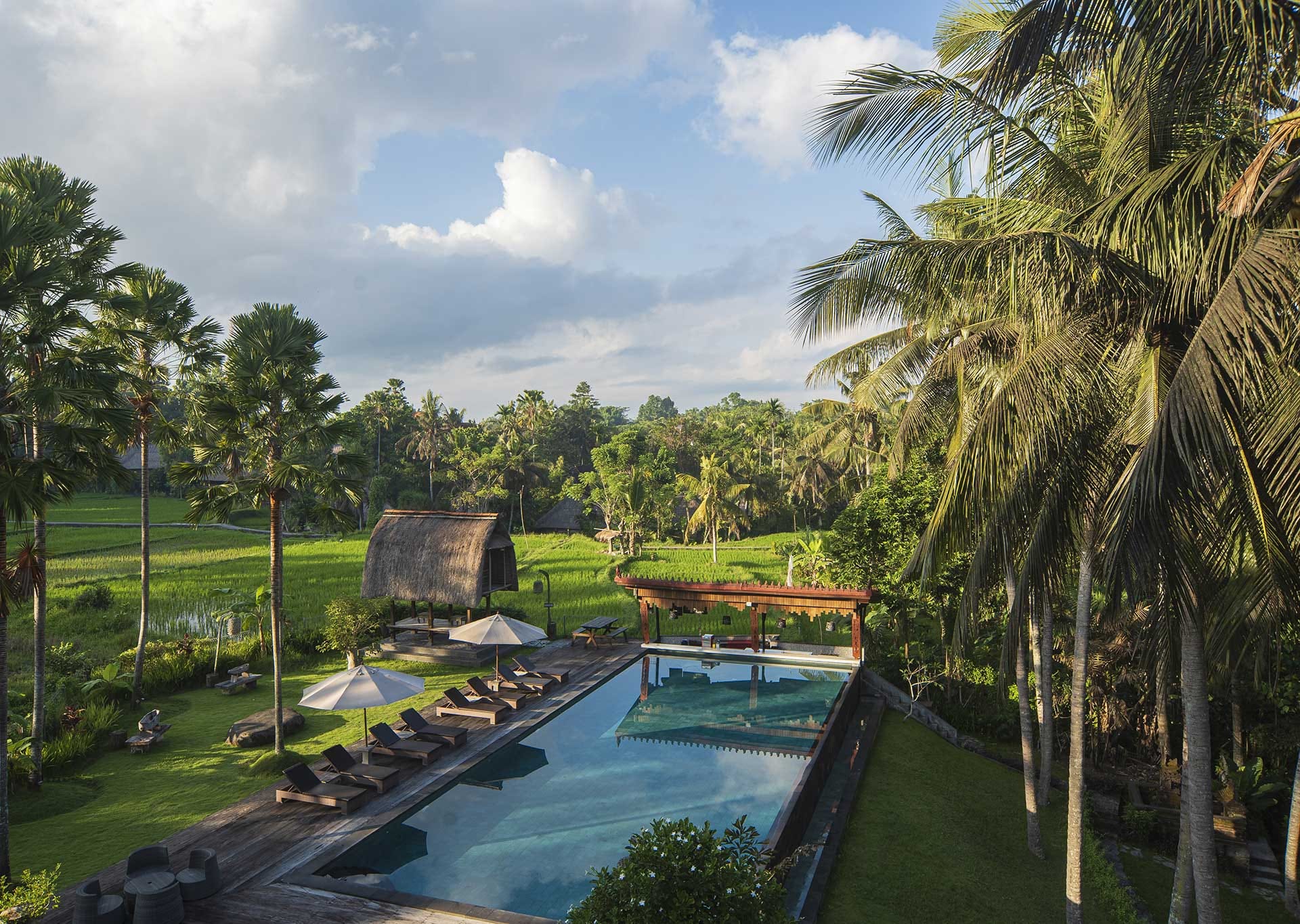 The Artini Dijiwa Ubud - ウブド バリ島ホテル