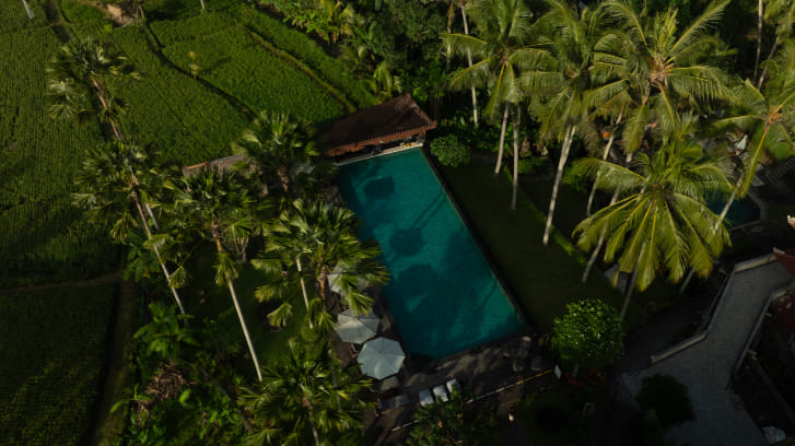 The Artini Dijiwa Ubud 写真 3
