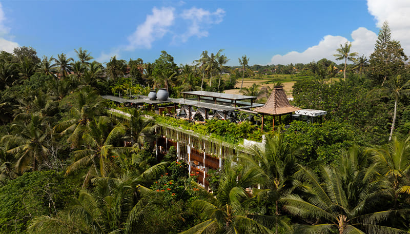 Arkamara Dijiwa Ubud 写真 2